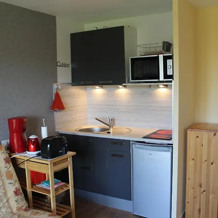 Proche Thermes Avec Wifi Et Animaux Admis - Fr-1-541-189 La Roche-Posay