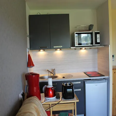 Proche Thermes Avec Wifi Et Animaux Admis - Fr-1-541-189 Apartment La Roche-Posay