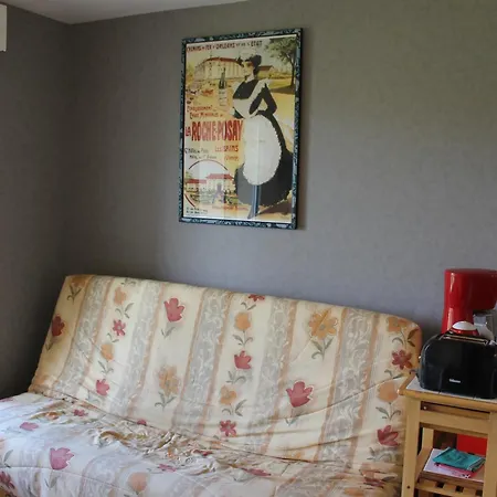 Apartmán Proche Thermes Avec Wifi Et Animaux Admis - Fr-1-541-189 *
