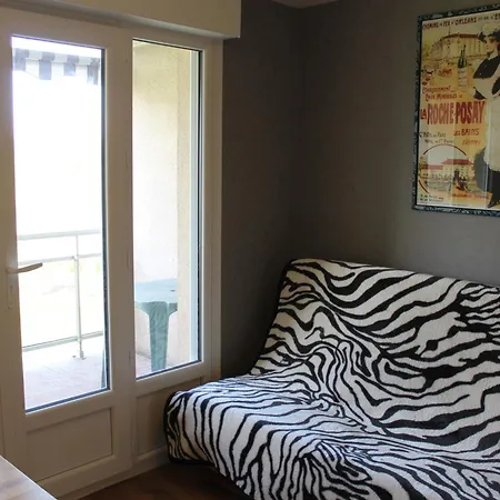 Apartmán Proche Thermes Avec Wifi Et Animaux Admis - Fr-1-541-189