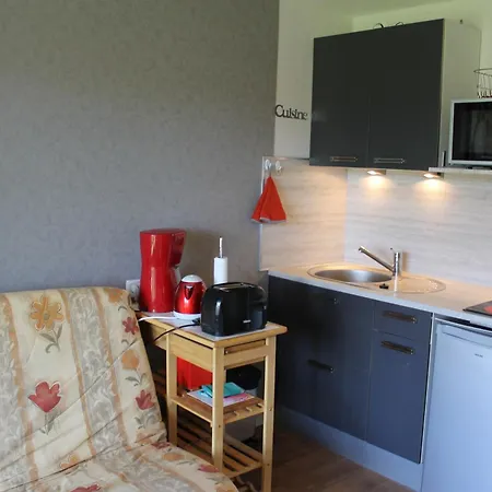 Proche Thermes Avec Wifi Et Animaux Admis - Fr-1-541-189