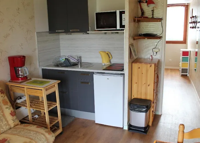 Apartment Proche Thermes Avec Wifi Et Animaux Admis - Fr-1-541-189