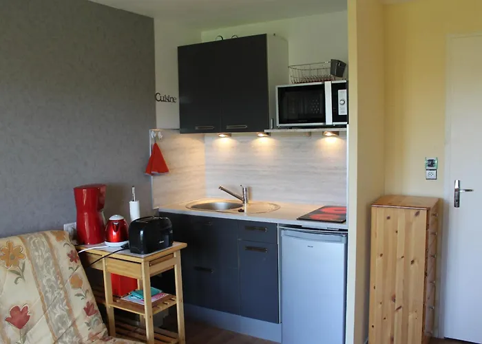 Proche Thermes Avec Wifi Et Animaux Admis - Fr-1-541-189 La Roche-Posay