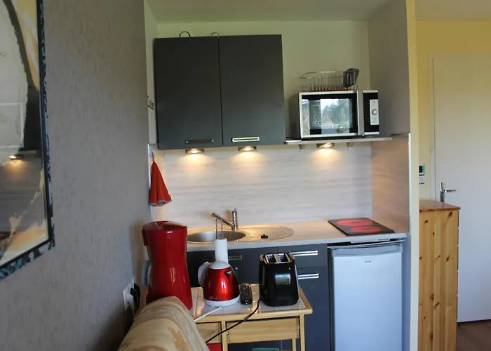 Proche Thermes Avec Wifi Et Animaux Admis - Fr-1-541-189 Apartment La Roche-Posay