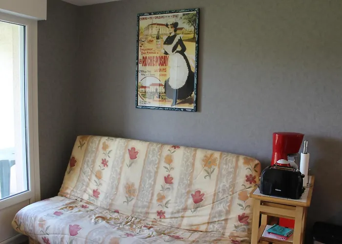 Apartment Proche Thermes Avec Wifi Et Animaux Admis - Fr-1-541-189 *