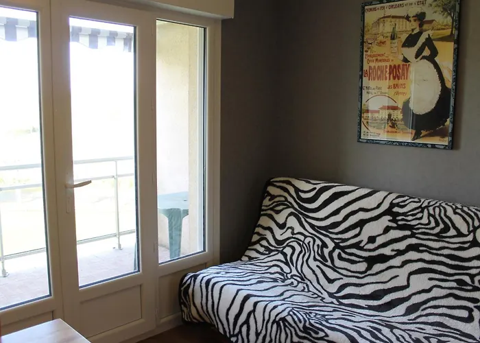 Apartment Proche Thermes Avec Wifi Et Animaux Admis - Fr-1-541-189