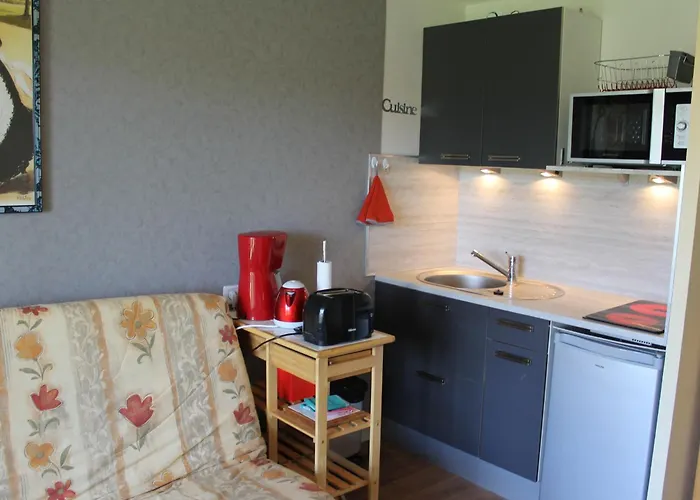 Proche Thermes Avec Wifi Et Animaux Admis - Fr-1-541-189